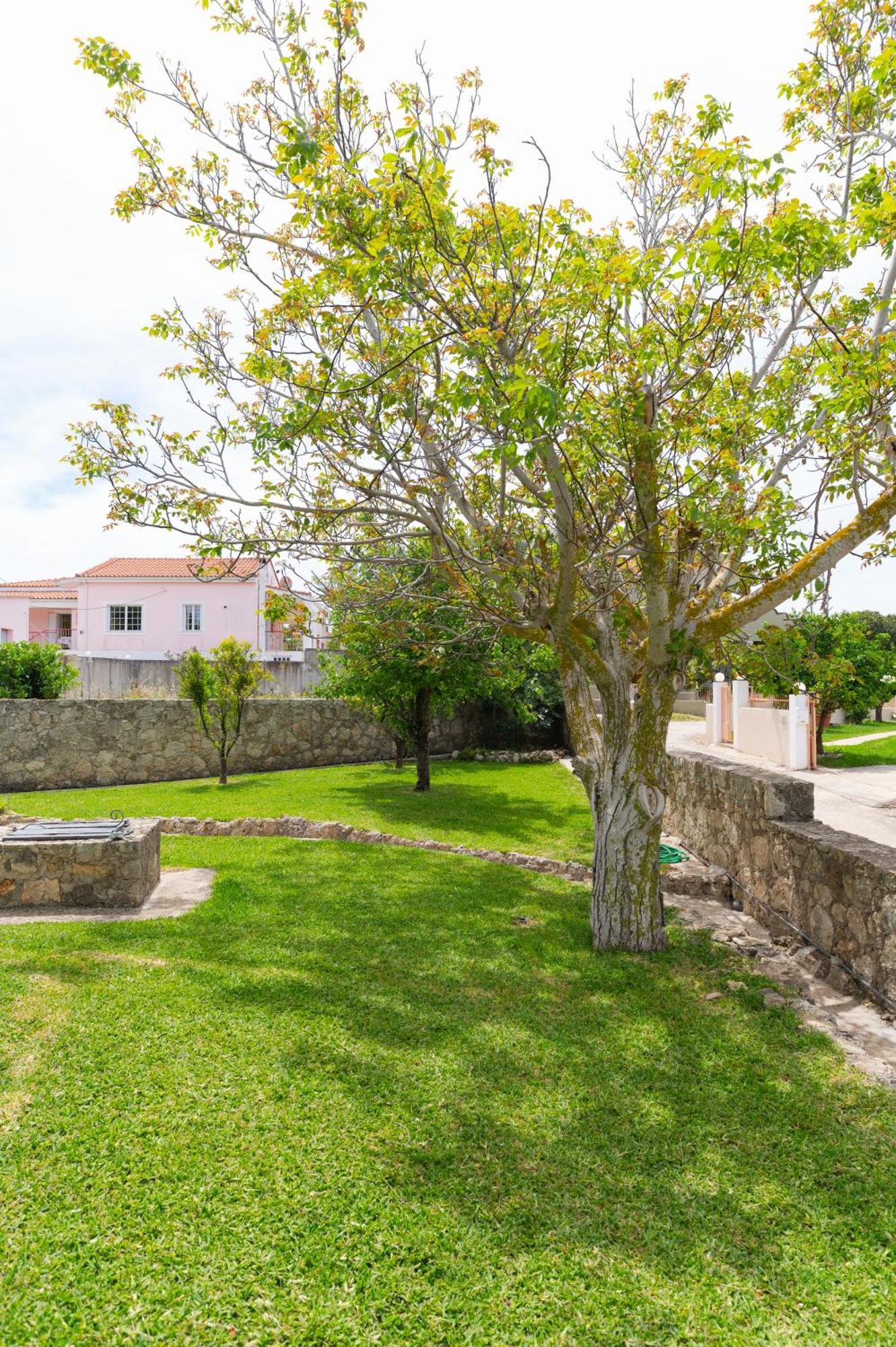 Vasilopoulos Residences - Apartments Ioni & Neso Argostolion Exterior foto